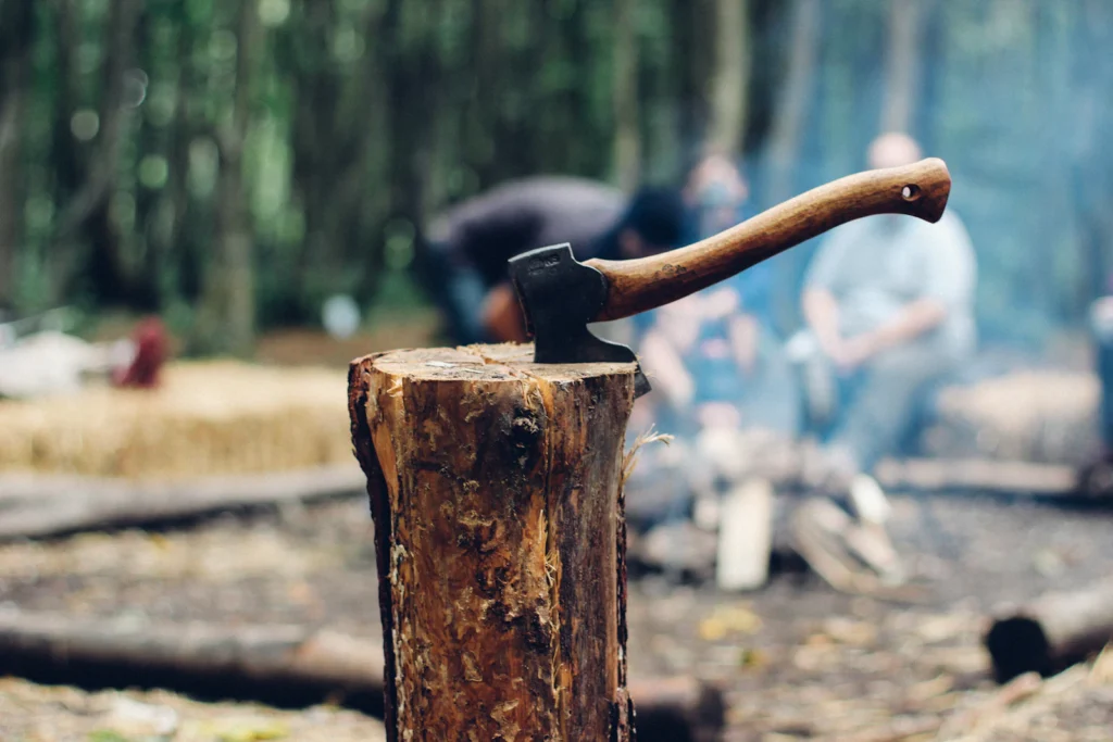 Axe resting at a woodland campsite