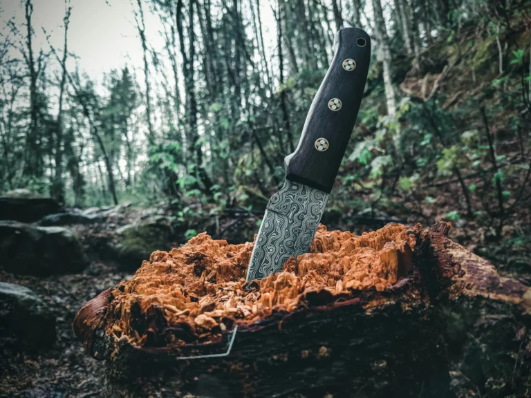 Fixed-blade Damascus knife standing in moss on a forest floor